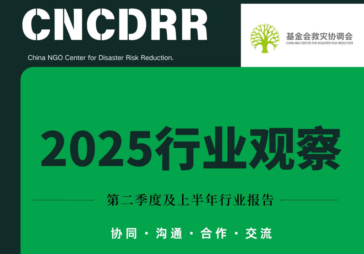 《2025年第二季度及上半年行业观察》